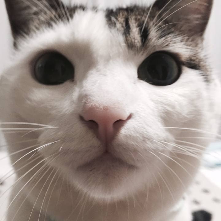 384b2e3b ae29 4d36 b9a5 c9b661380d7a