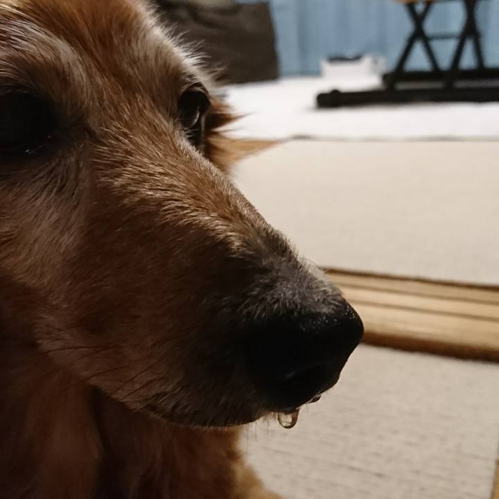 384b8151 dca5 4007 a205 8e0b34086dbe