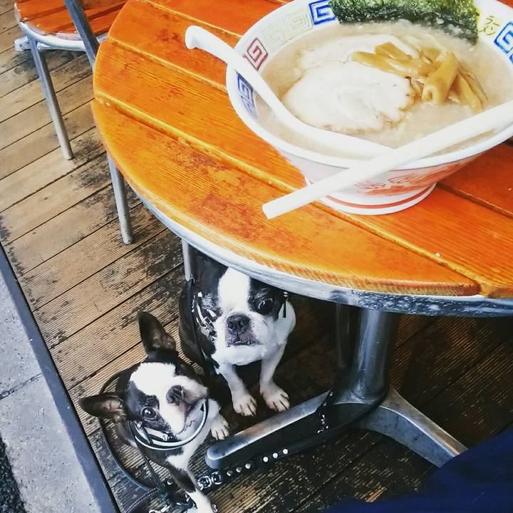 384bba7e b649 40bc acfa 0e2acf121bb9