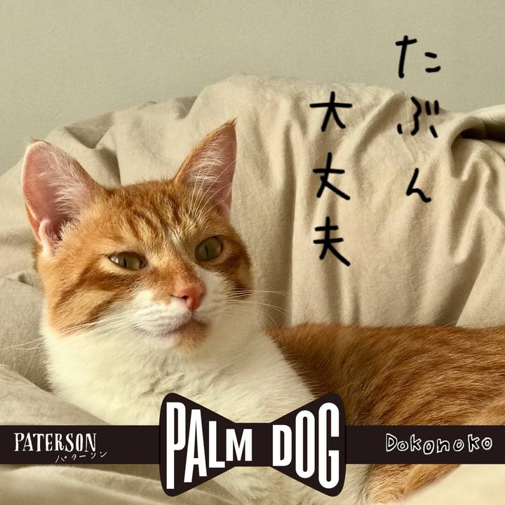 384bc9f2 3f1f 4c65 8bf3 8f26069b8fce