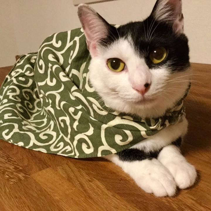 384bf05e 242d 4d70 a411 04c79bb8ad4b