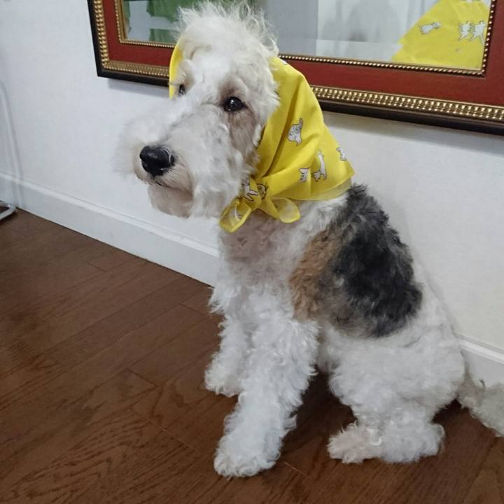 384ce160 e26d 4b96 ad30 24366d42c0a4