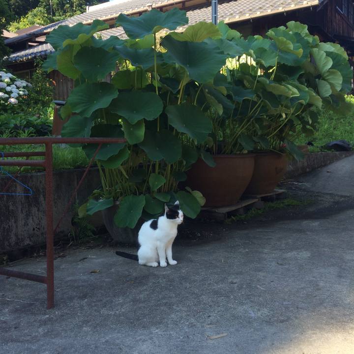 384d0c38 0469 44bc b195 154129bce08c