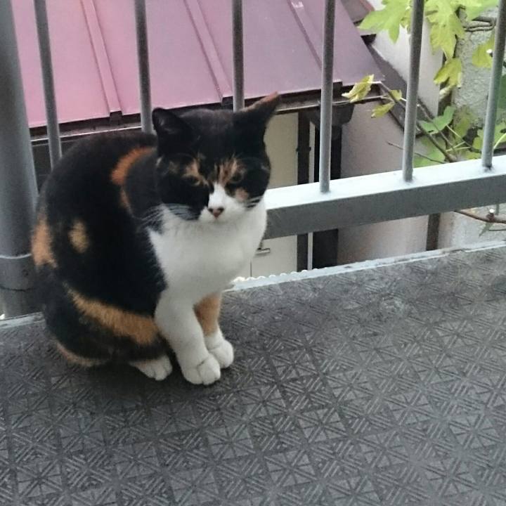 384db529 677a 40a5 a45e 71dd542dcba6