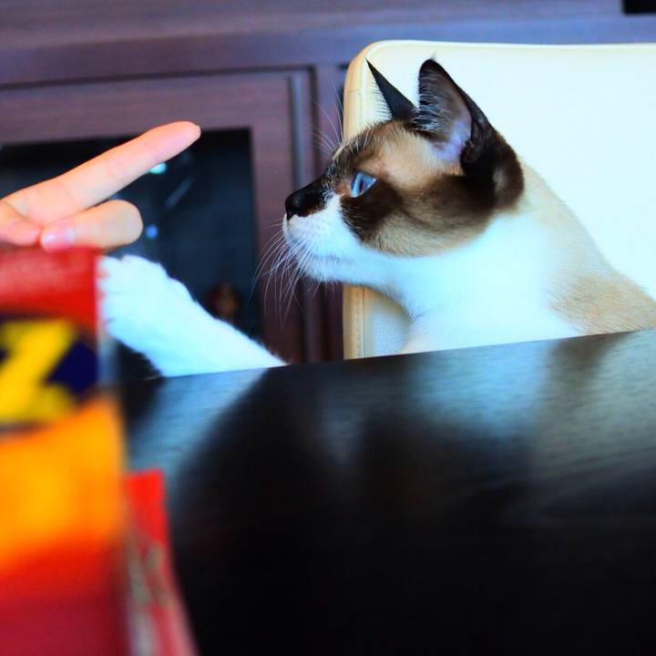 384de346 f359 4875 96c5 4087032ff299