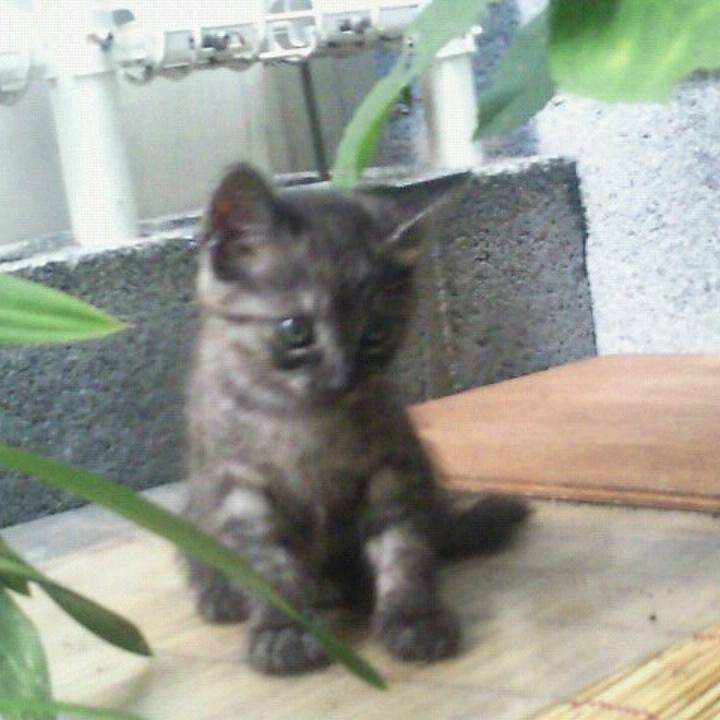 384e0e13 67e1 494b a17d 5926c733b22e