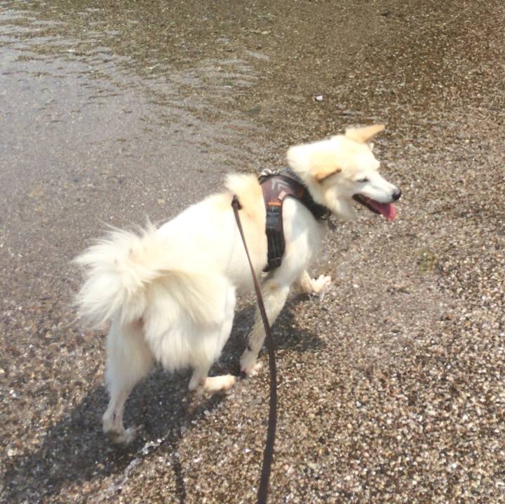 384e21db cb32 4c99 9626 676b2c1fdd8c