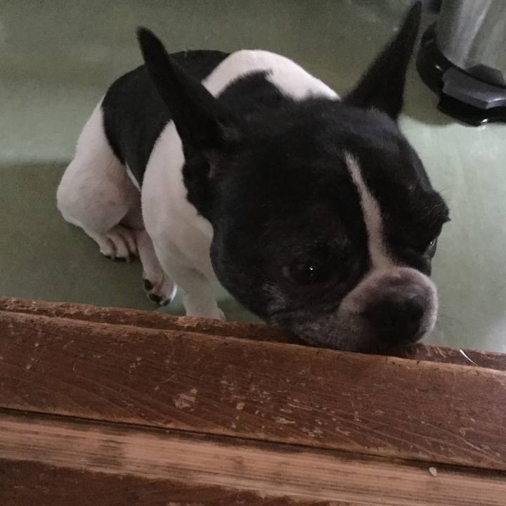 384e7105 29bc 4dce a906 500b3fc6a2f2