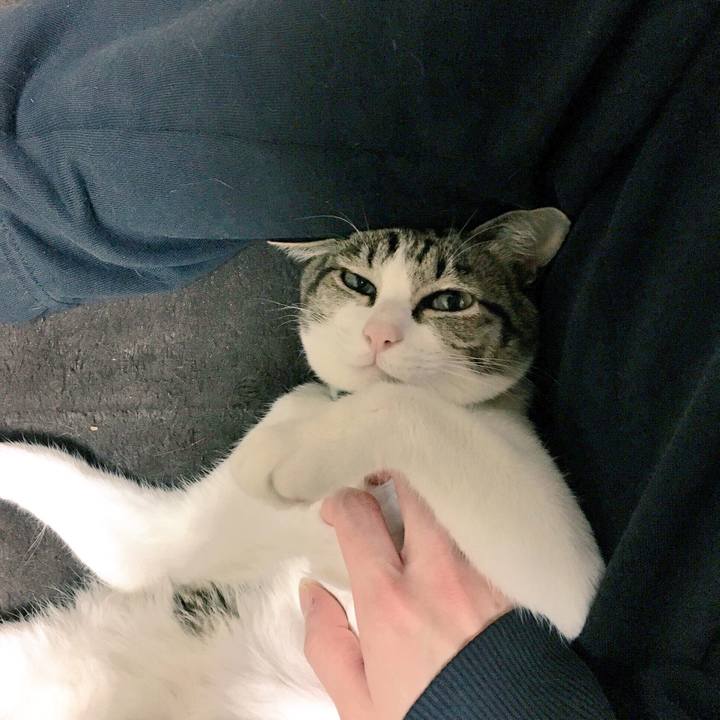 384e804b 37e6 4c72 89a8 c42eb7cdced4