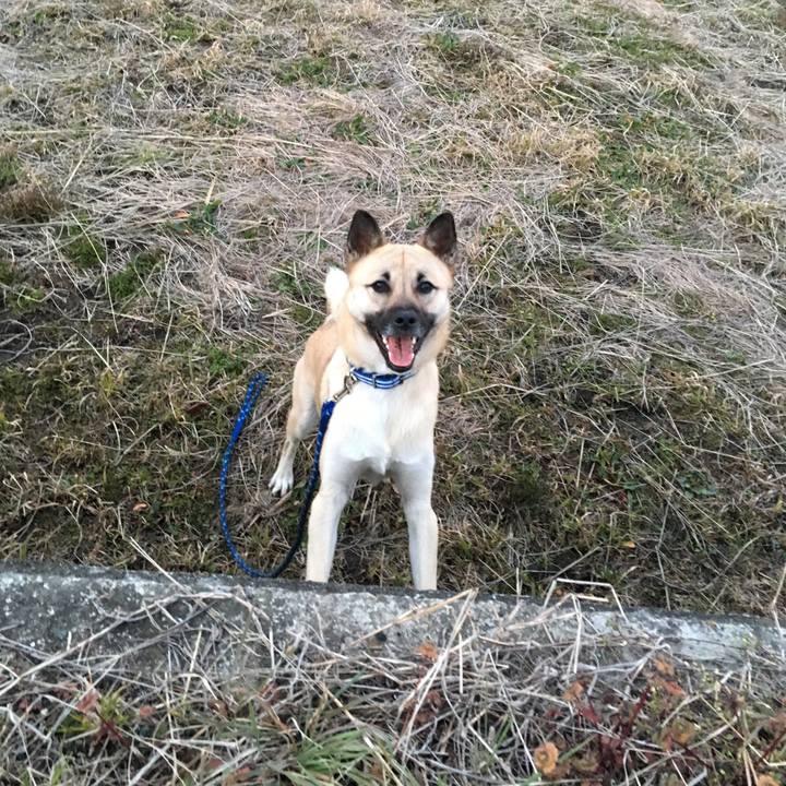 384e8835 82af 4444 ae63 732d75498871