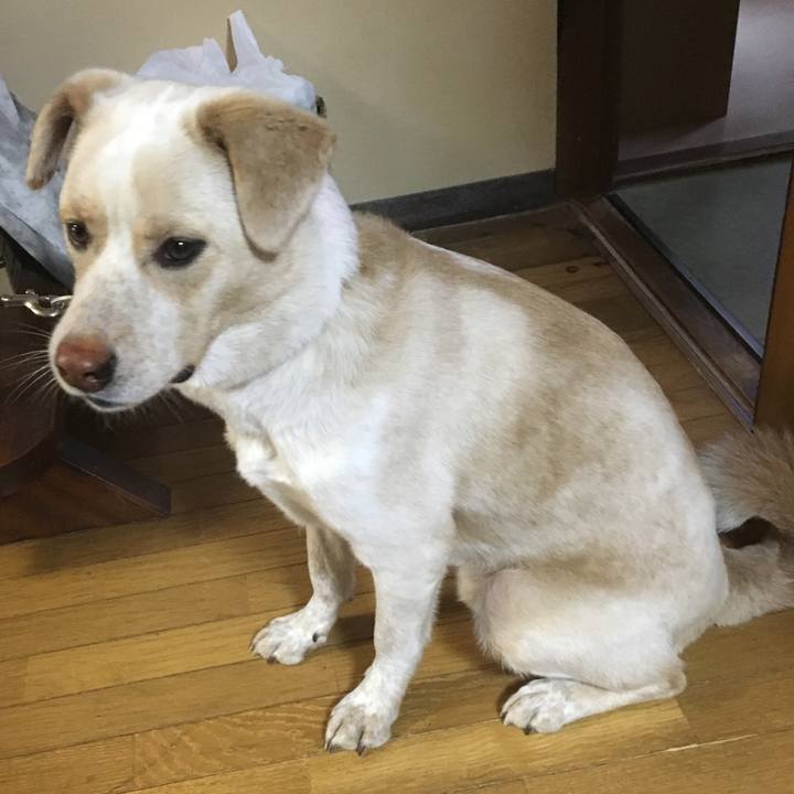 384f0297 72ea 4b0b 966a d5c6c9e301b6