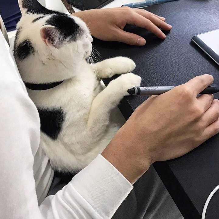 384f8993 2d12 402a 9fc3 de2e678489b1