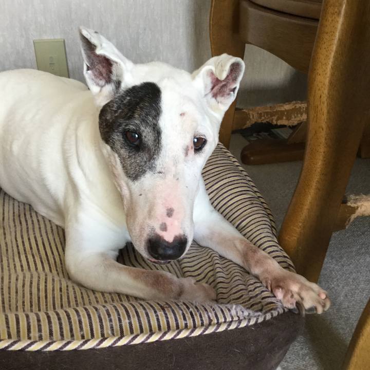 385000e5 2d45 4171 8d5f 1ad50326d8c1