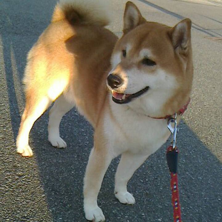 38506080 223c 4751 86b7 605a5e70ffbd