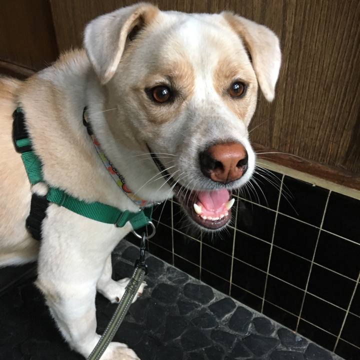 3851157e e460 4b09 8dd4 6adc3f70c9fe