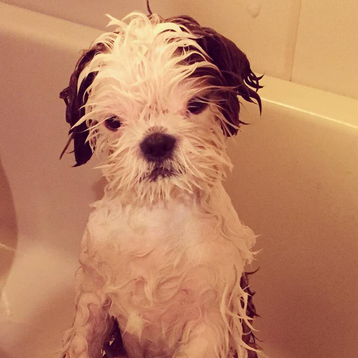 38513245 6d7f 4f84 9fb2 6a699f1f35fe