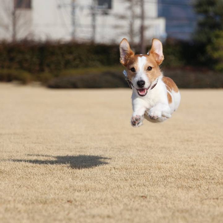 3851ac9f bc4a 4ff8 93c1 8c55f68758e3