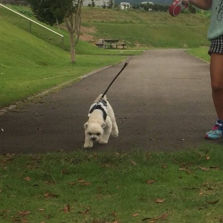 3851f089 087a 4366 93a5 abb8bb8d3a6e