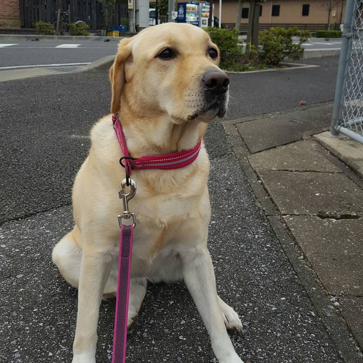 38525a77 03d8 416b b0ee 96c483048af2