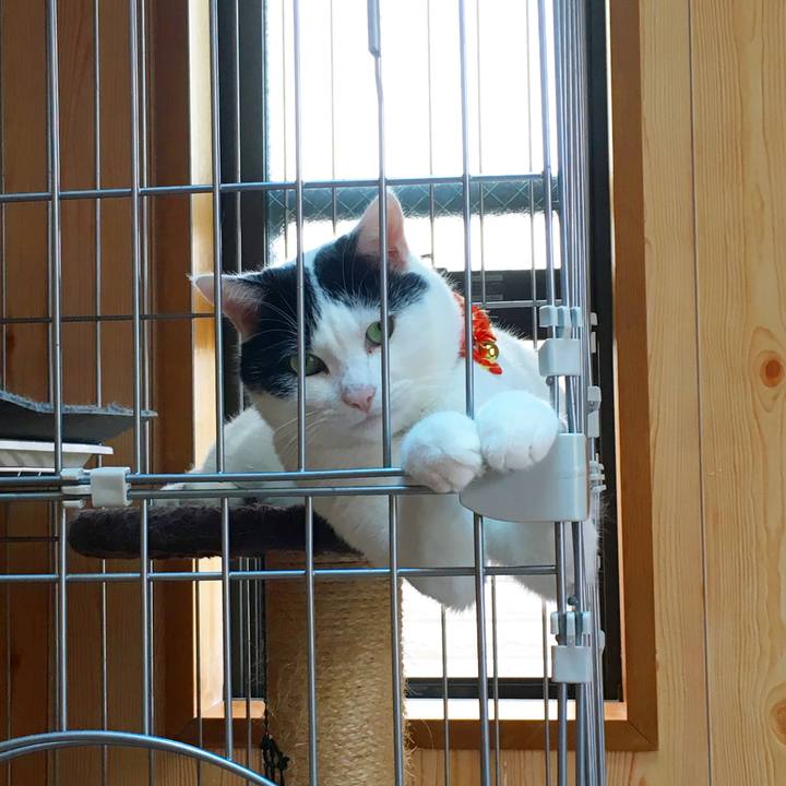 385287a9 fcd3 40cf 8ad0 857b148a8d86