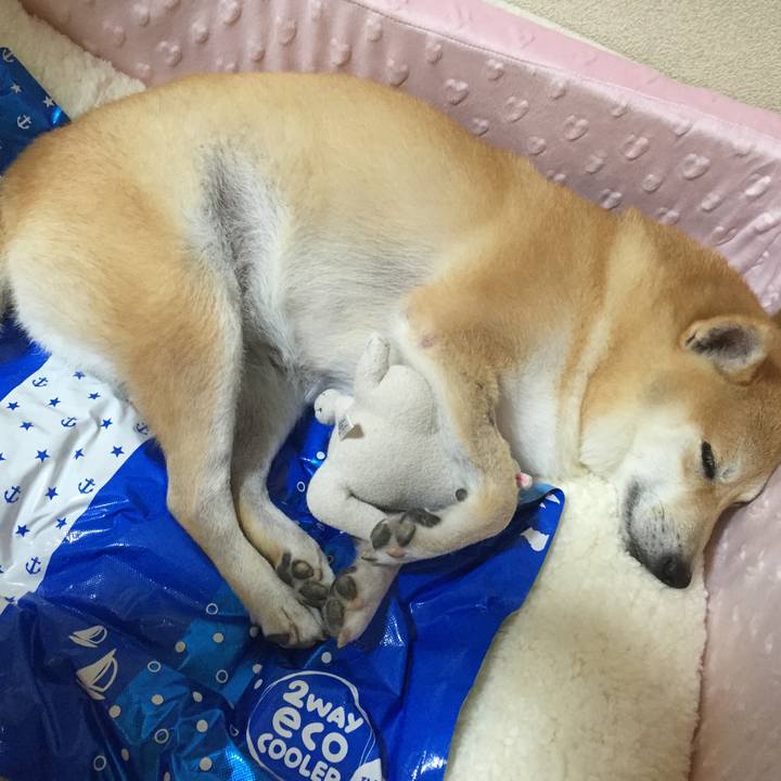 3852dfa4 f7bc 455e 9e4d 8fcab7cdfd21