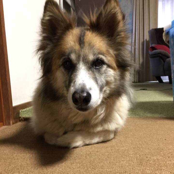 3853245b 99f2 4d73 84f9 2be71ed4aef2