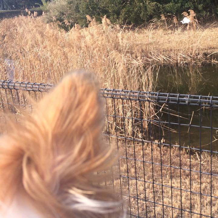 3853294c 8634 457e 89a6 399e11f76efa