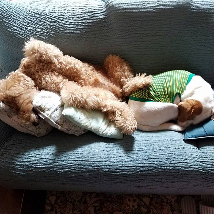 38534a9a 708d 40b4 9d04 fa179e60c24c