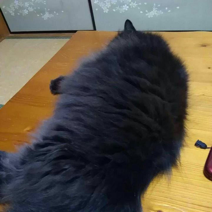 3853dca4 0dcb 481e 92b5 03a4bddc1bf4