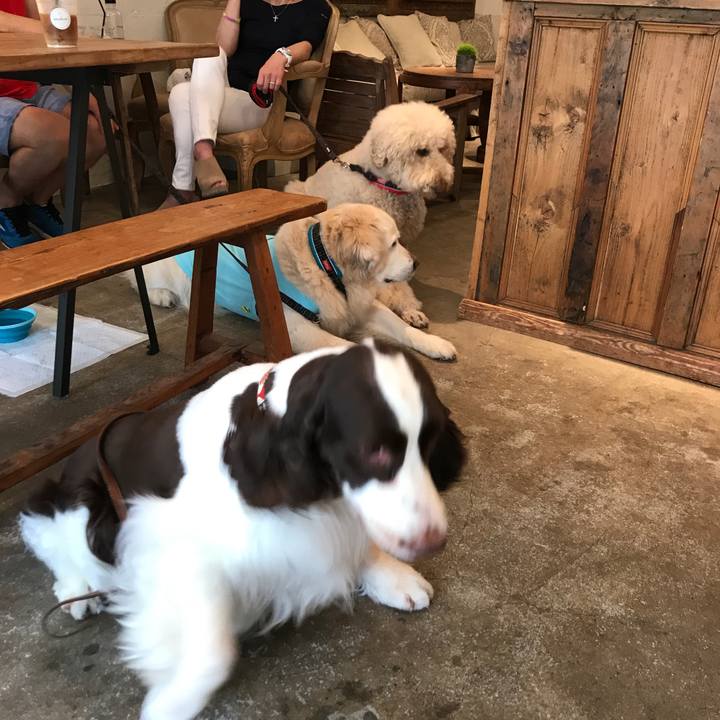 38543a29 a4bb 4fad 8c24 ecc49f3680e4