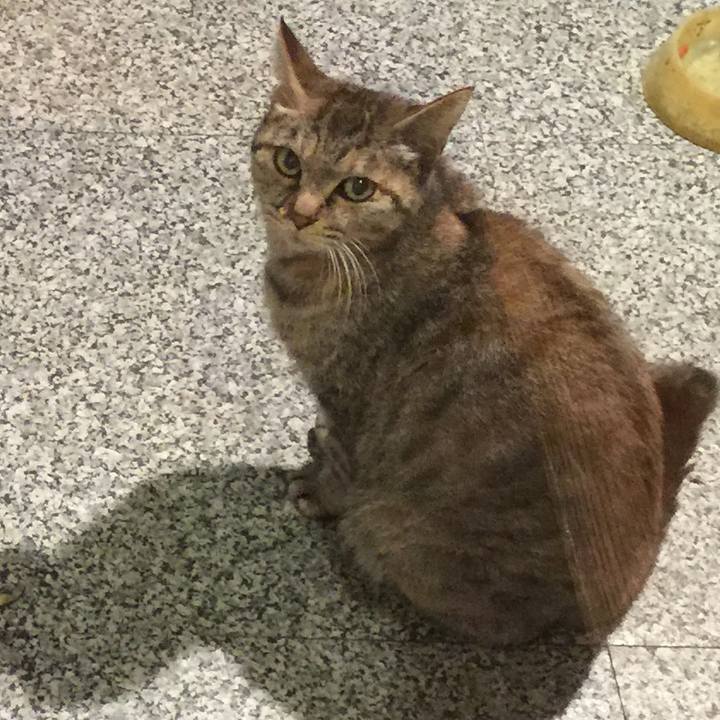 3854d6ea 63c1 4b3c 929b 35a37b343270