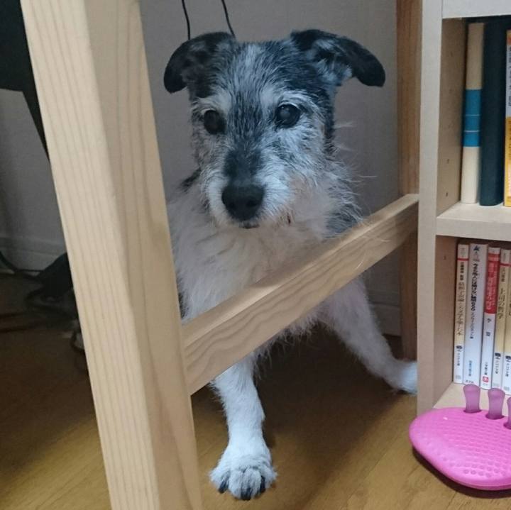 38553477 b6e4 4a11 9a1a 7efe48e775df