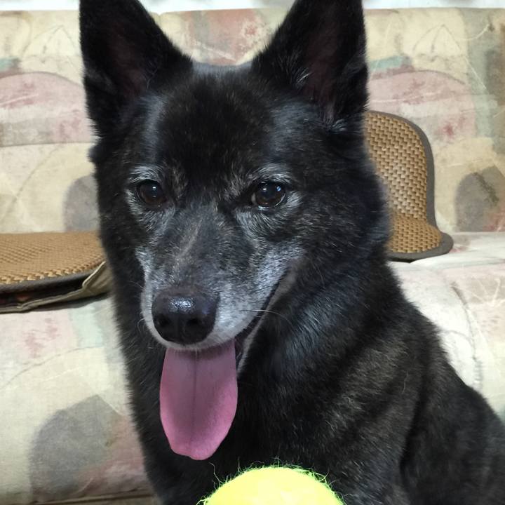 3855b1e4 46b2 483d bfea 51c0a26bd7a9