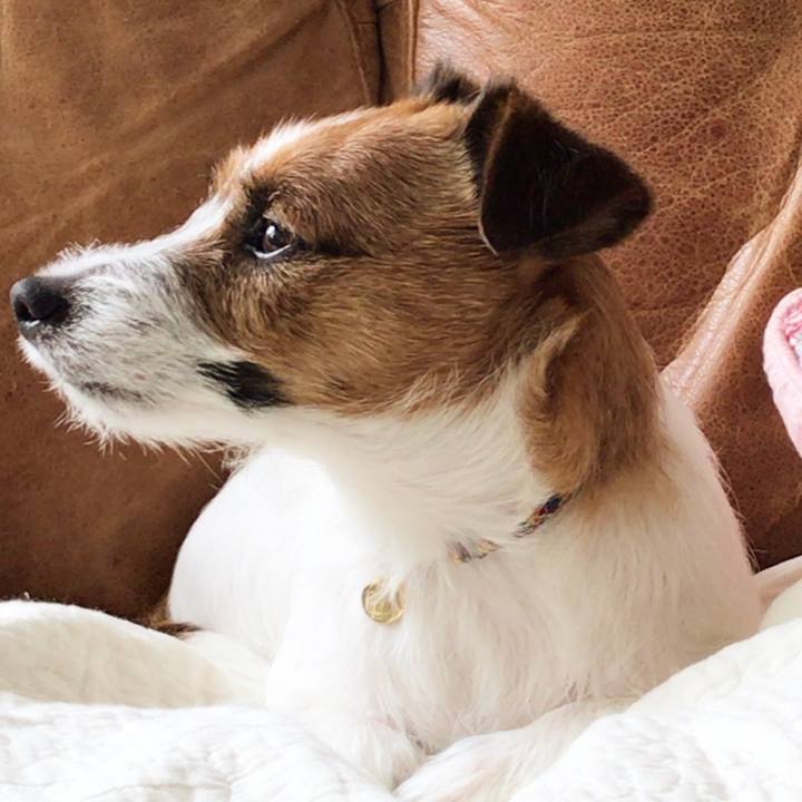 3855edf5 2b9d 4588 98fc 8b43b6be24ff