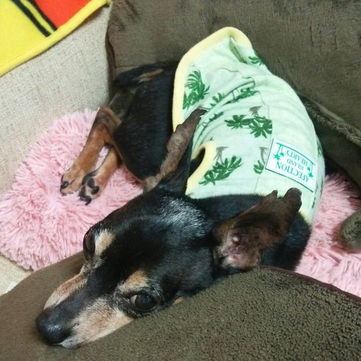 385606f4 edc0 4617 b5d7 b85d813e2d94