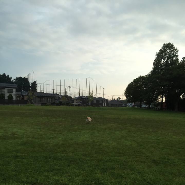 3856924e 888e 403c a6da d61a29e35c75