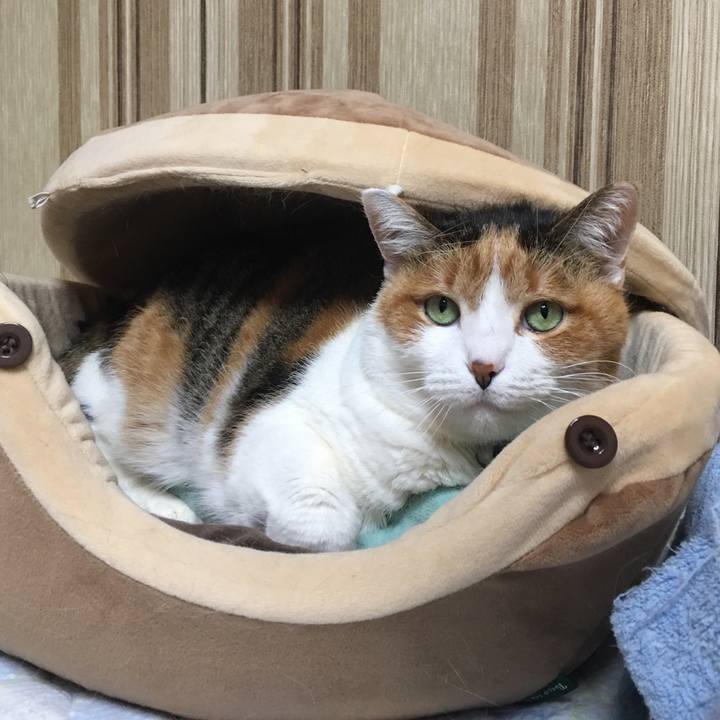 38572720 785d 4a13 ac1e 109b3dd8d75a