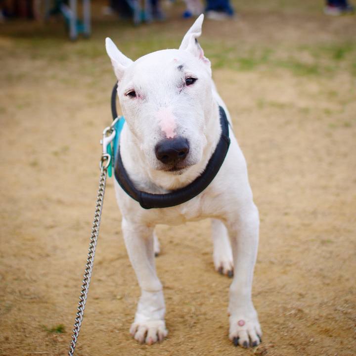 385746d9 3491 4898 a581 4de7ef0e151d