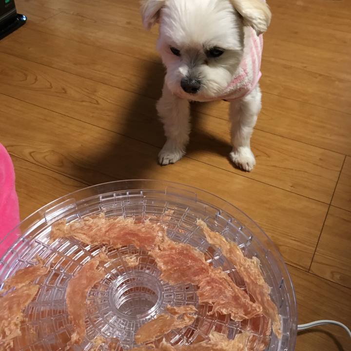 38578476 e129 44d6 be59 55c6aa8fe6b9