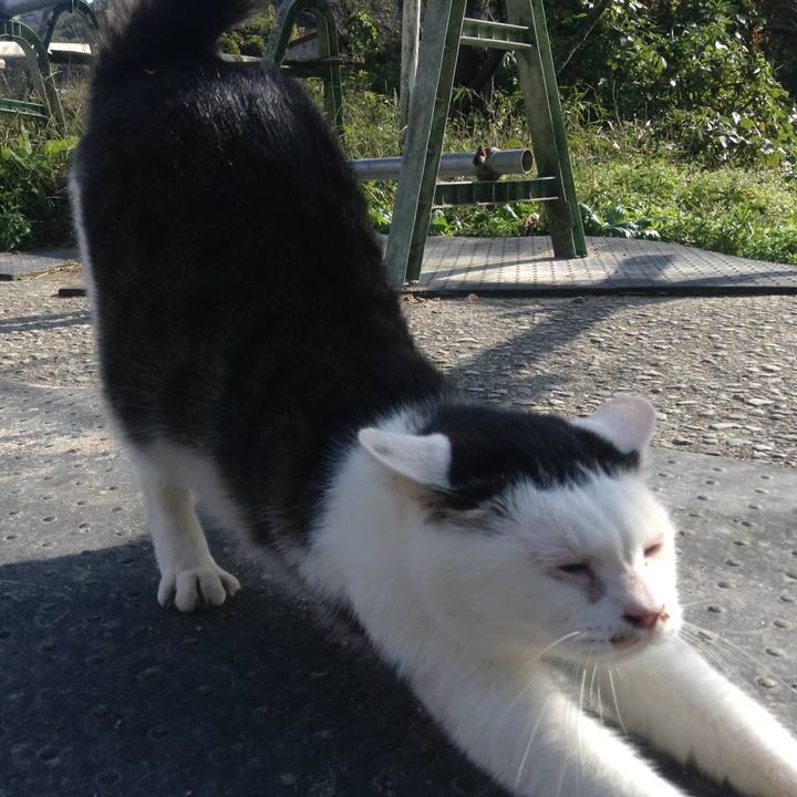 385785af 33f8 4536 b534 7ea508d1fc30