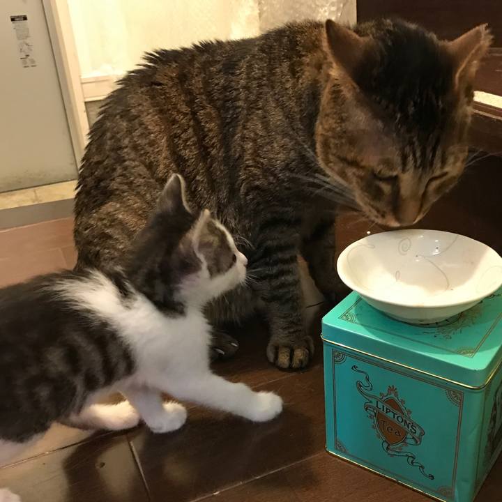 385798ec 0e89 4e01 963a 22e6f17aaada