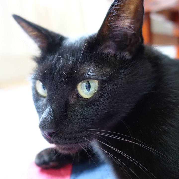 3857d93e 75ce 4c63 a0fb 69c2376c974c