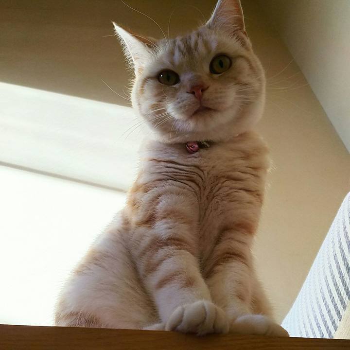 38580e1e 8fcc 4ff3 a3c7 ef9f096fc82c