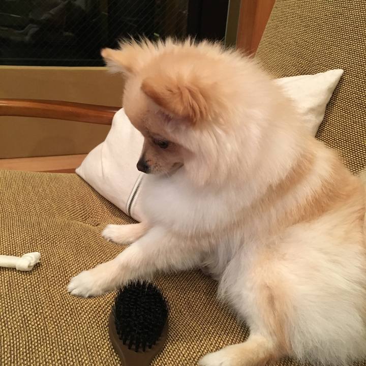 38581e7f b12d 4f97 938b ce9a2e439270