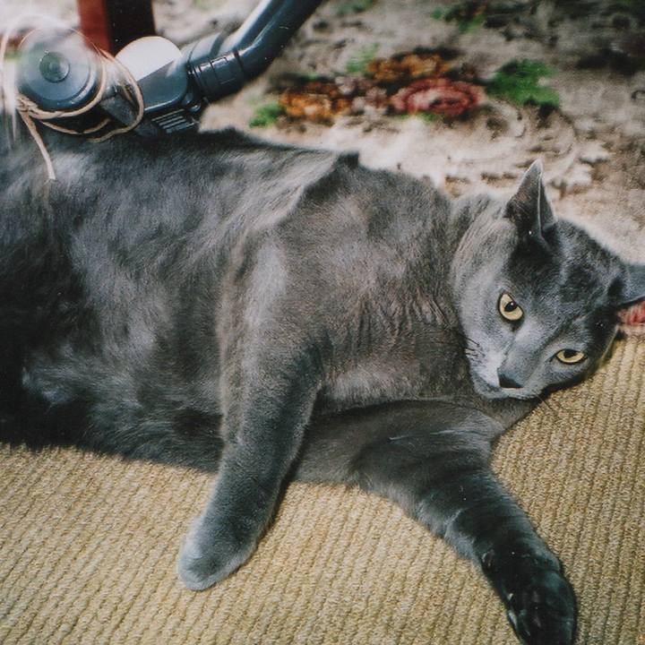 3858fbaf 885c 430e 93cc 070fa122e151