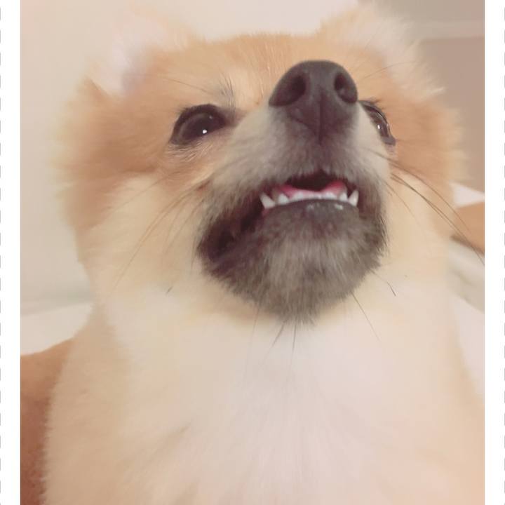 3859238e ad82 4e5e be8e 6deb05f8f659