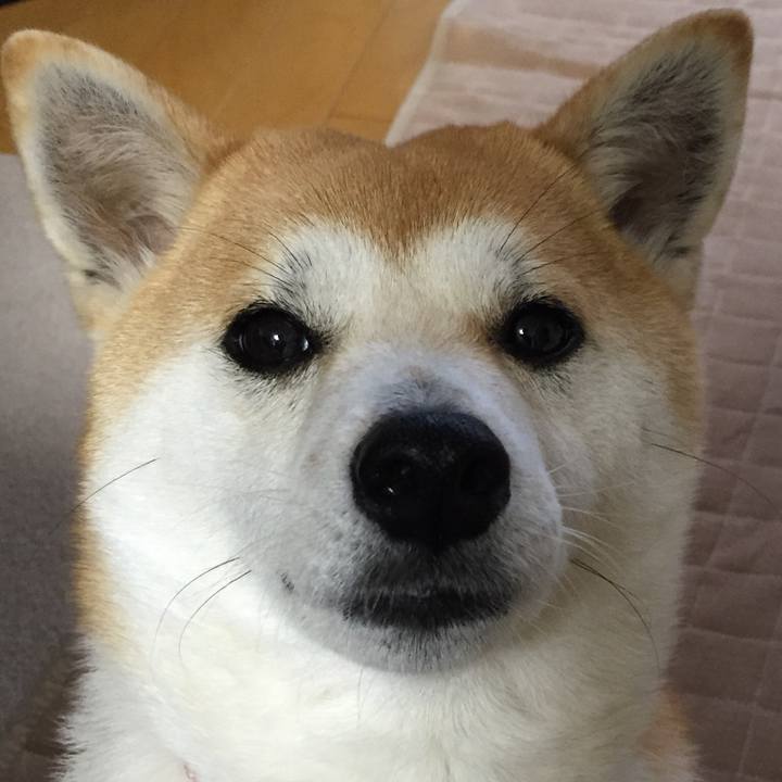 38599e40 aa3a 465c b447 066327bc41ae