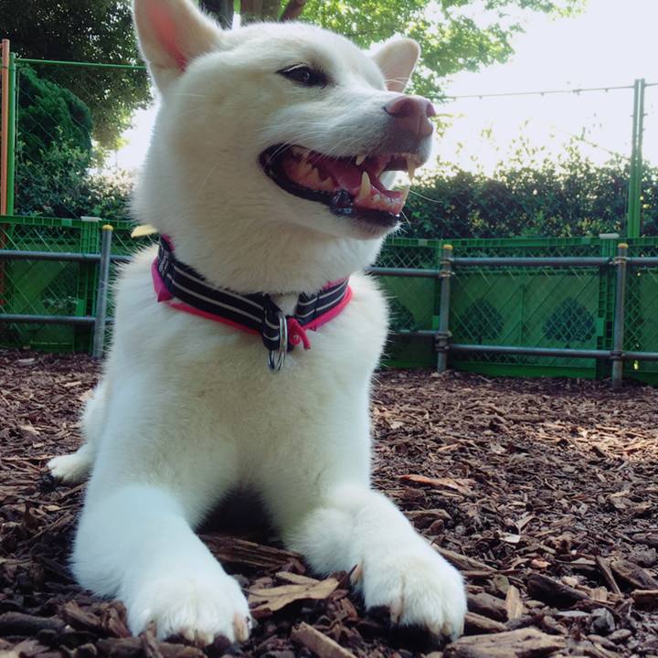 3859dfe9 5c2b 4449 8855 f3a1c78bda39