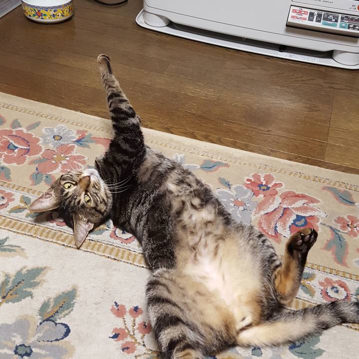 3859ee22 0062 4af2 b1f1 9d8de5f0f262