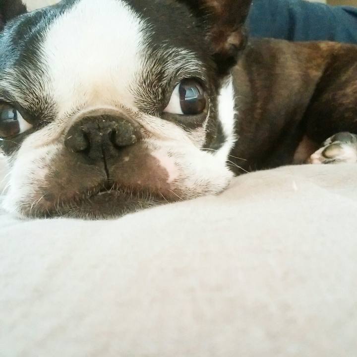 385a9ea1 fad7 4f50 8578 3aefe878e63d